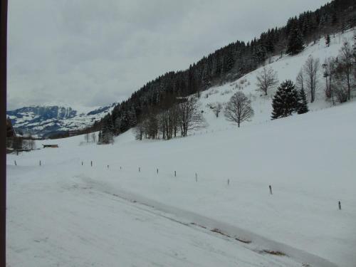 Apartamento Pension K�nstler
