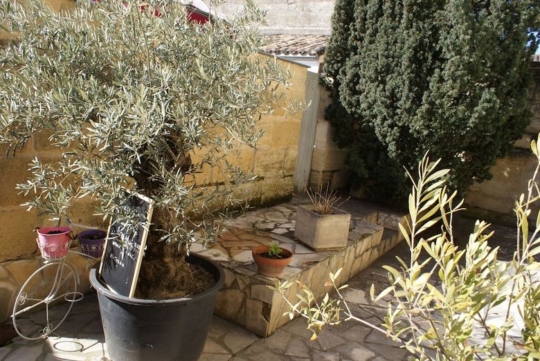 Hostal Les Chambres D'ovaline