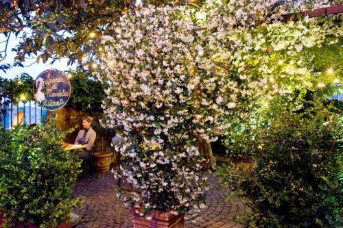 Bed & Breakfast Locanda Di Mirandolina