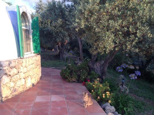 Bed & Breakfast Giardino Di Sicilia