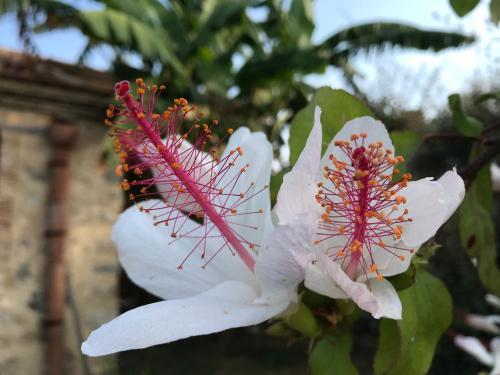 Bed & Breakfast Giardino Di Sicilia