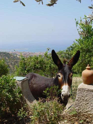 Bed & Breakfast Giardino Di Sicilia