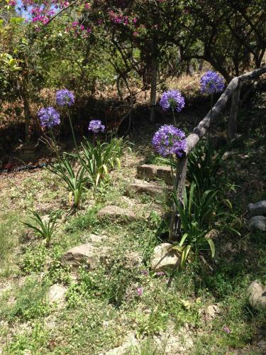 Bed & Breakfast Giardino Di Sicilia