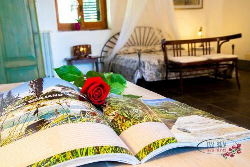 Bed & Breakfast Case Brizza