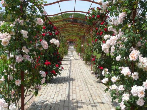Hotel La Bastide Du Clos Des Roses - Chc
