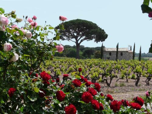 Hotel La Bastide Du Clos Des Roses - Chc
