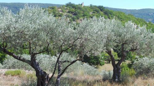 Bed & Breakfast Le Mas Des Ferrayes