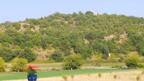 Bed & Breakfast Le Mas Des Ferrayes