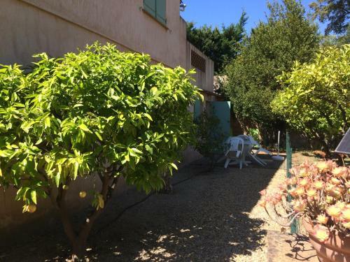 Apartamento Les Oliviers