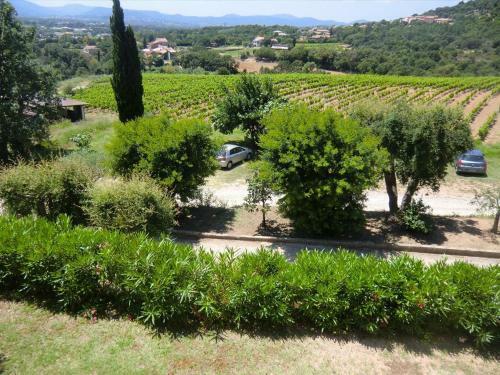 Apartamento Les Oliviers