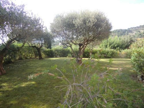 Apartamento Les Oliviers
