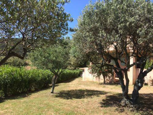 Apartamento Les Oliviers