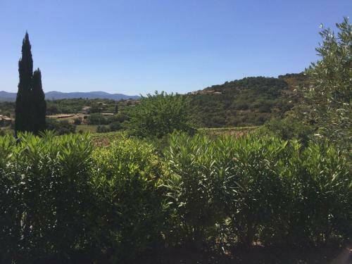 Apartamento Les Oliviers
