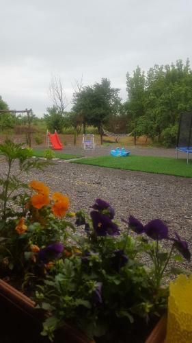 Hostal Guest House Elene