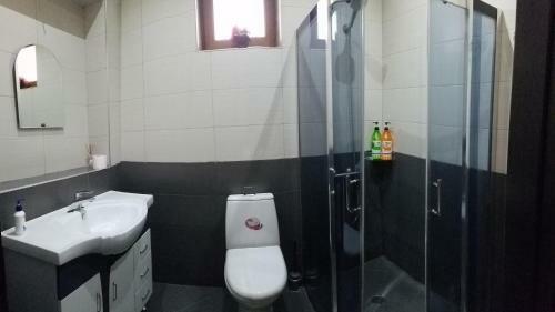 Hostel Kolga Kutaisi
