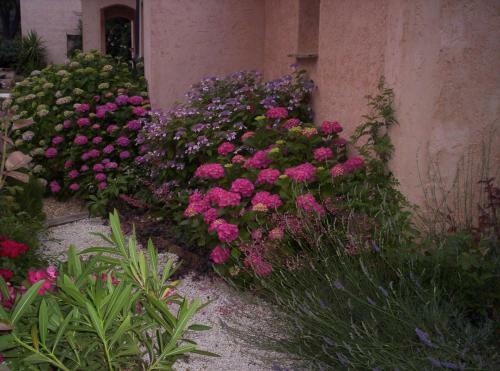 Bed & Breakfast Les Glycines
