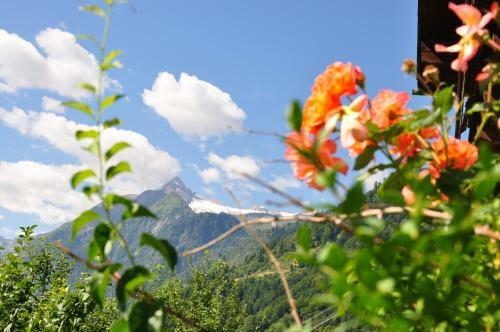 Apartments Obernosterer - Gro�glockner