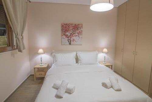 Petra Luxury Apartments
