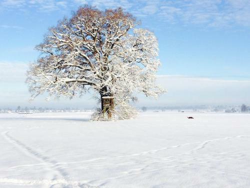 Bed & Breakfast Landhotel T�rmer