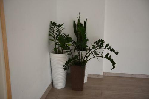 Apartamento Elgini Studios