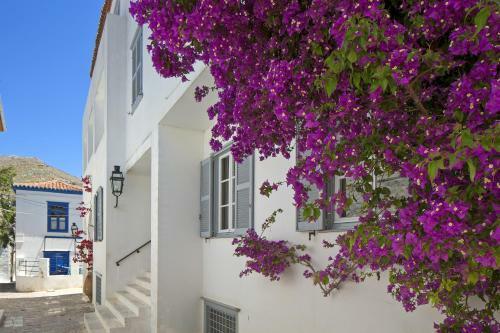 Leto Hotel
