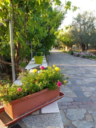 Apartamento Vasiliki Studios