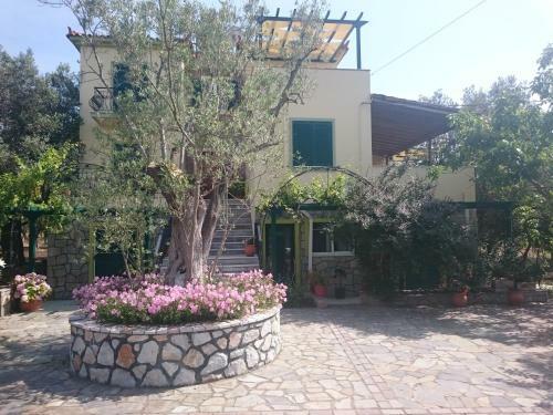 Apartamento Vasiliki Studios