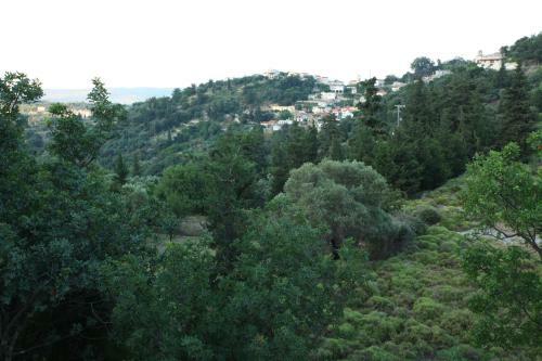 Villa Athina