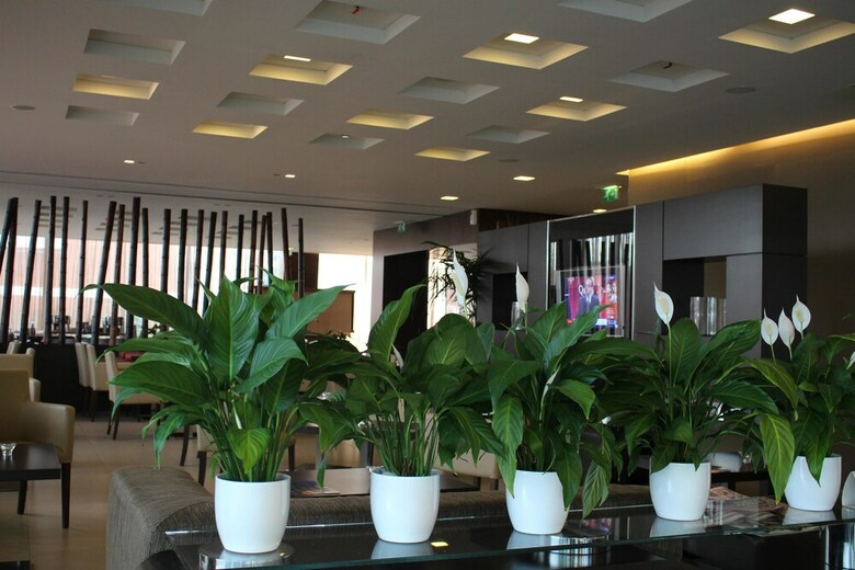 Best Western Hotel Goldenmile