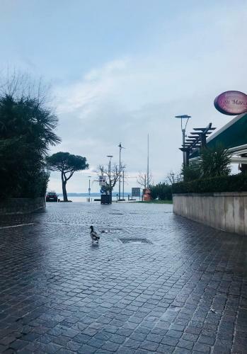 Hotel San Marco
