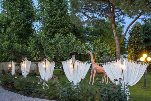 Bed & Breakfast Ca' Maddalena