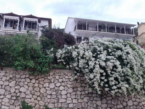 Hostal Pension Holidays