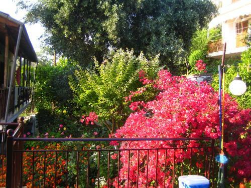 Hostal Pension Holidays