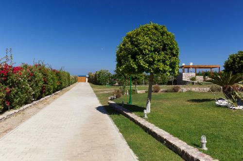 Belvedere Beachfront Villa