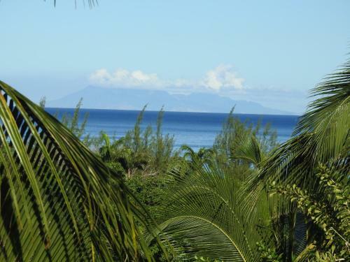 Coeur Caraibes