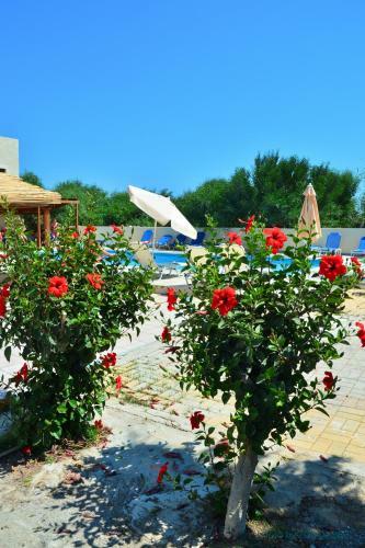 Eleonora Boutique Hotel