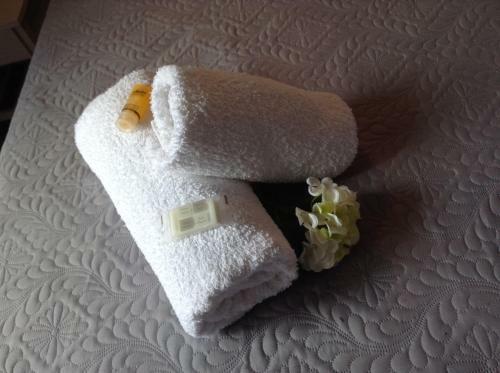 Hostal Pansion Kaloyiannis