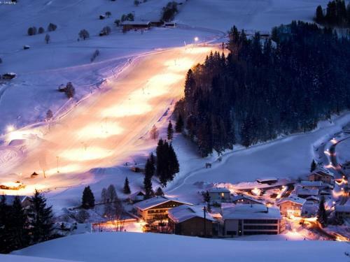 Chalet Schneelowe Xl