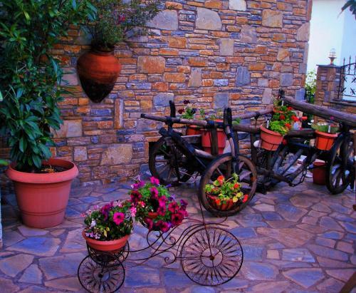 Villa Muses Country House