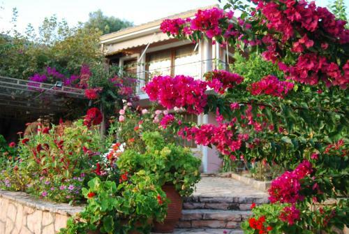 Apartamento Villa Niki