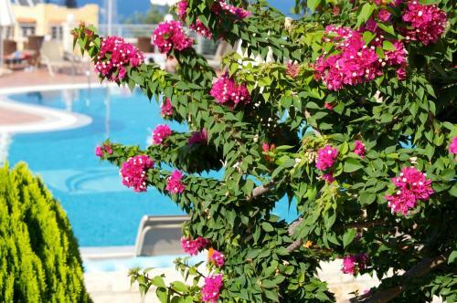 Pilot's Villas Luxury Suites