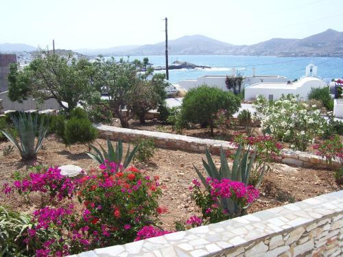 Despina's Rooms And Apartments