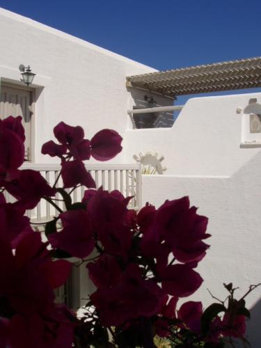 Despina's Rooms And Apartments