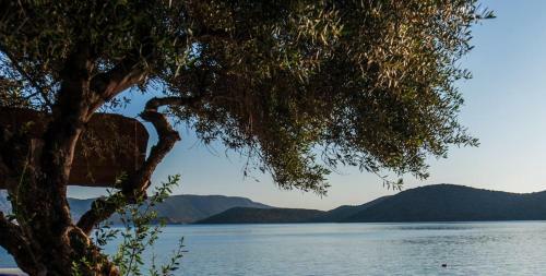 Apartamento Christina Boutique Studios Elounda