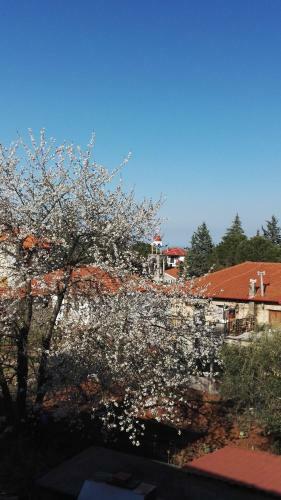 Apartamento San Giorgio