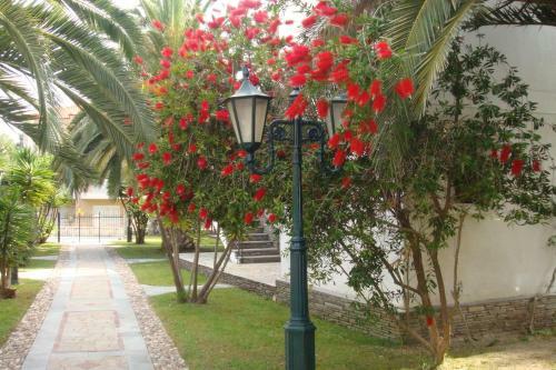Hotel Pilalidis