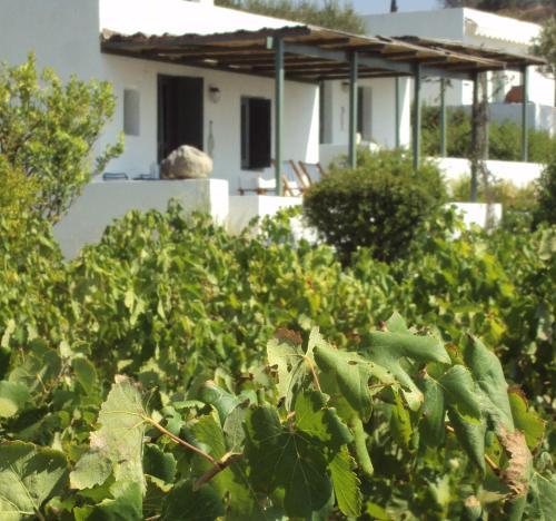 Apartamento Niriides Resort