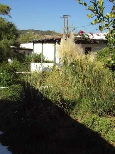Apartamento Niriides Resort