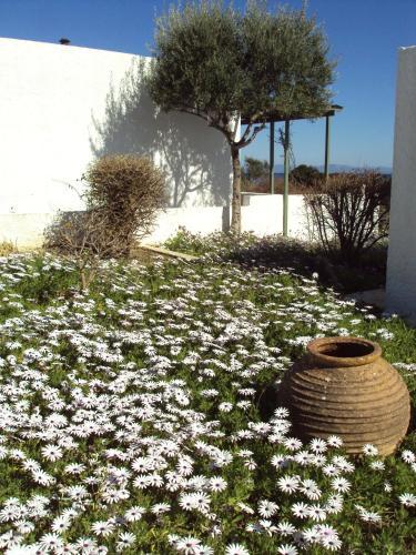 Apartamento Niriides Resort