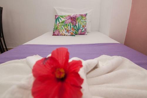 Vasilakis Studios & Apartments
